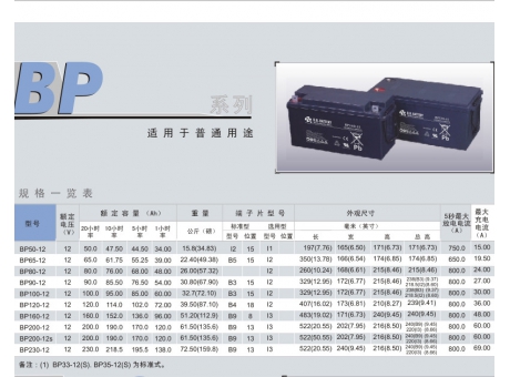 鉛酸BP系列說明書